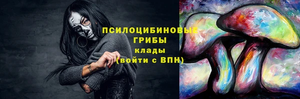 индика Горнозаводск