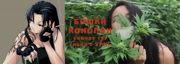 индика Горнозаводск