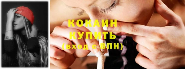 индика Горнозаводск