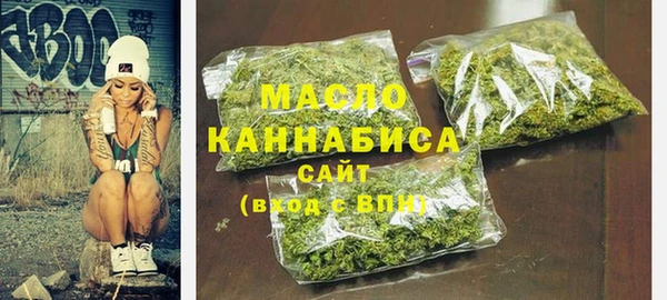 индика Горнозаводск