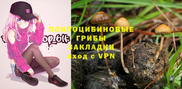 MESCALINE Горняк