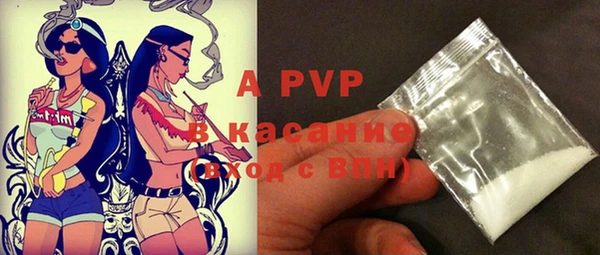 индика Горнозаводск