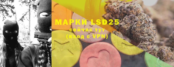 индика Горнозаводск