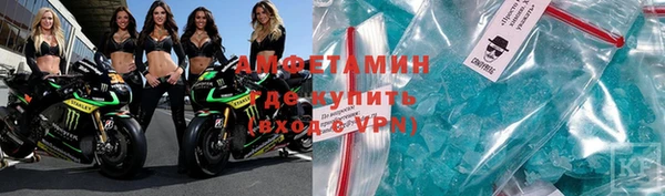 индика Горнозаводск
