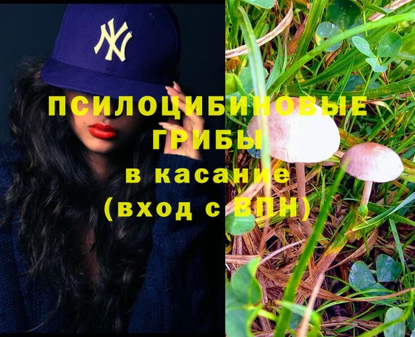 индика Горнозаводск